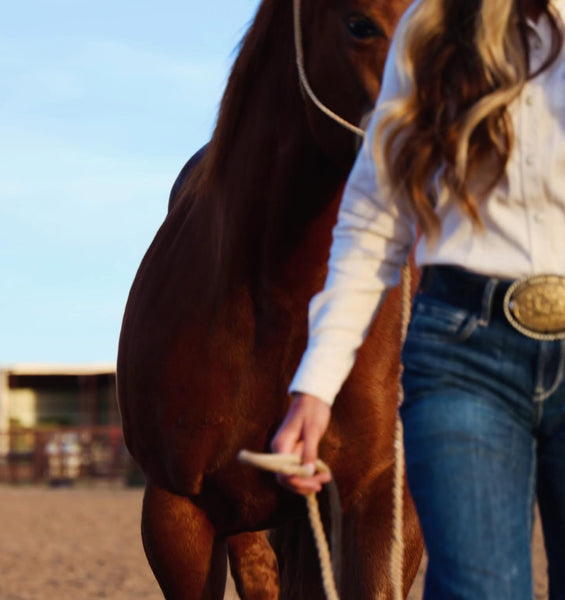 Ariat High Rise Slim Trouser Jeans