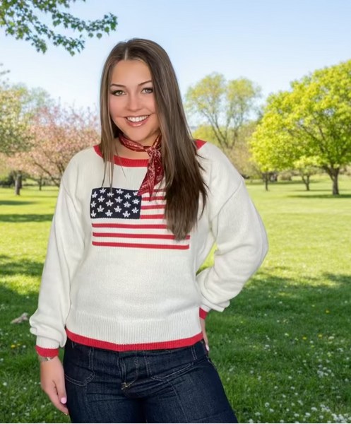 American Flag Sweater