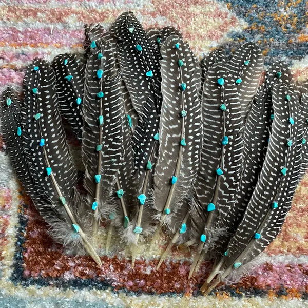 Turquoise Hat Feather