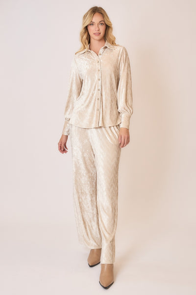 Wave Velvet Champagne Blouse