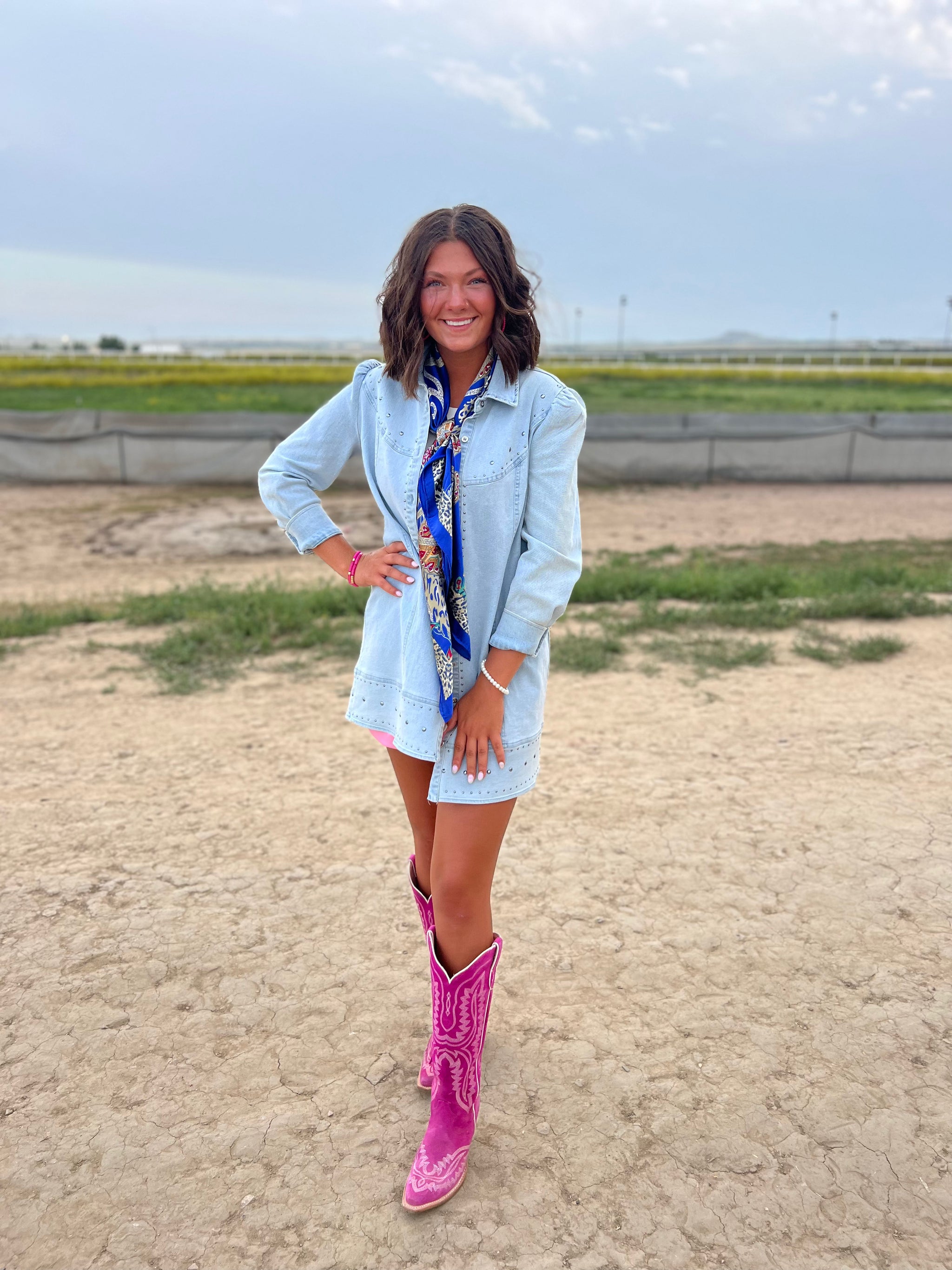 steele denim dress s t e e l e  Dresses