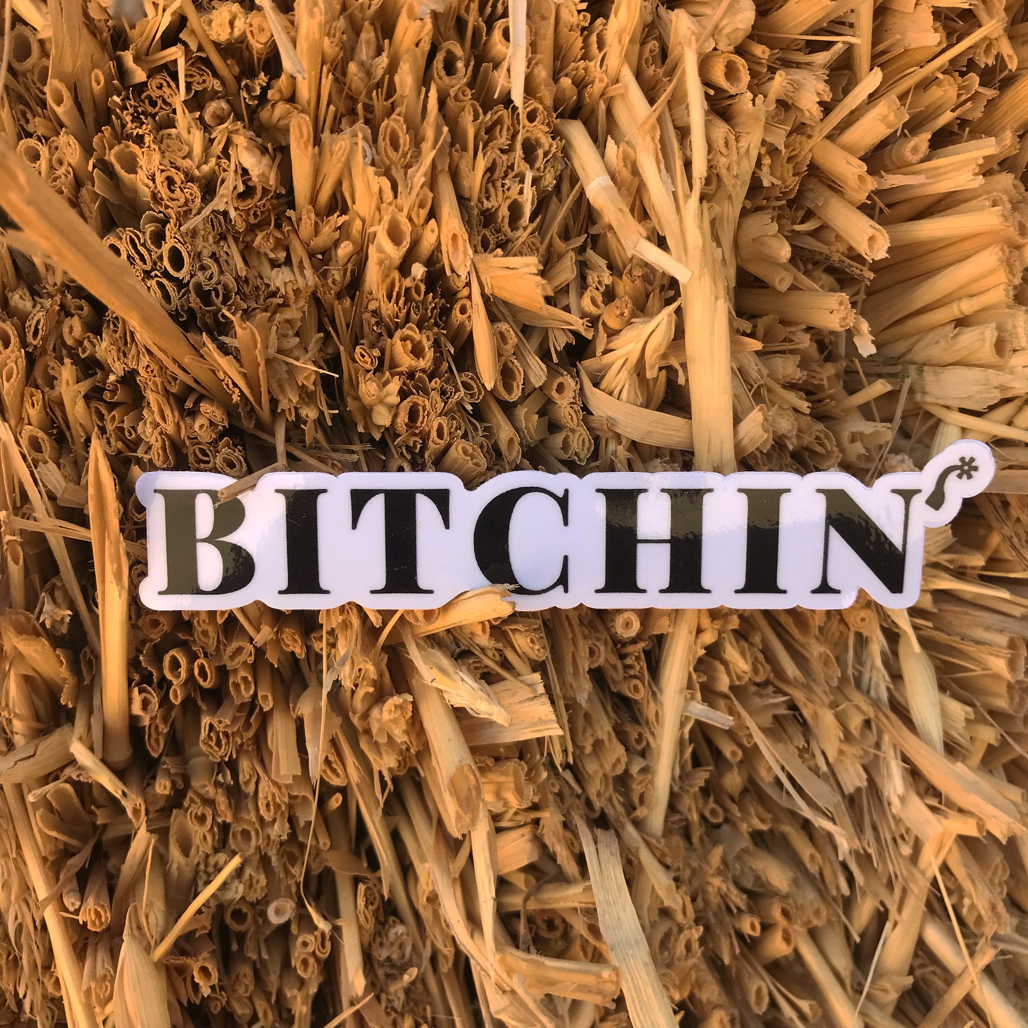 Bitchin Sticker
