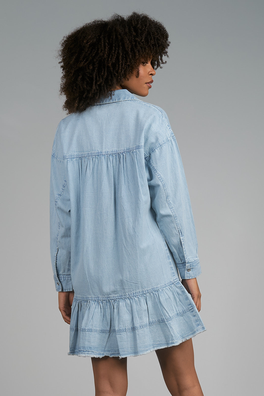 Elan Denim Shirtdress